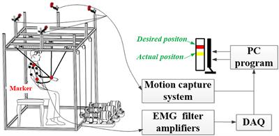 Assessment of Motor Control during Three-Dimensional Movements Tracking with Position-Varying Gravity Compensation